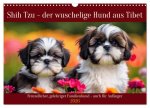 Shih Tzu - der wuschelige Hund aus Tibet (Wandkalender 2026 DIN A3 quer), CALVENDO Monatskalender