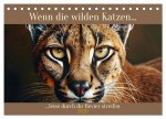 Wenn die wilden Katzen leise durch ihr Revier streifen (Tischkalender 2026 DIN A5 quer), CALVENDO Monatskalender