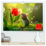 Mäuse - neugierig unterwegs (hochwertiger Premium Wandkalender 2026 DIN A2 quer), Kunstdruck in Hochglanz
