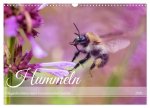 Hummeln - Flugaufnahmen eines faszinierenden Insekts (Wandkalender 2026 DIN A3 quer), CALVENDO Monatskalender