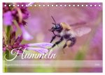 Hummeln - Flugaufnahmen eines faszinierenden Insekts (Tischkalender 2026 DIN A5 quer), CALVENDO Monatskalender