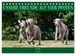 Unsere Freunde auf vier Pfoten - Hunde (Tischkalender 2026 DIN A5 quer), CALVENDO Monatskalender