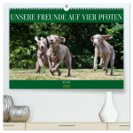 Unsere Freunde auf vier Pfoten - Hunde (hochwertiger Premium Wandkalender 2026 DIN A2 quer), Kunstdruck in Hochglanz