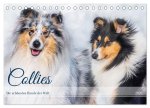 Collies - die schönsten Hunde der Welt (Tischkalender 2026 DIN A5 quer), CALVENDO Monatskalender