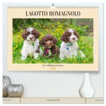 Lagotto Romagnolo - der Trüffelhund Italiens (hochwertiger Premium Wandkalender 2026 DIN A2 quer), Kunstdruck in Hochglanz