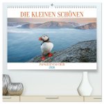 Die kleinen schönen (hochwertiger Premium Wandkalender 2026 DIN A2 quer), Kunstdruck in Hochglanz