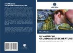 DYNAMISCHE GRUNDWASSERBEWERTUNG