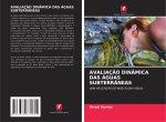AVALIAÇ?O DINÂMICA DAS ÁGUAS SUBTERRÂNEAS