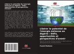 Libérer le potentiel de l'énergie éolienne en Algérie : Défis, opportunités et perspectives d'avenir