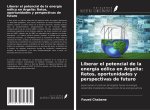 Liberar el potencial de la energía eólica en Argelia: Retos, oportunidades y perspectivas de futuro