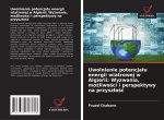 Uwolnienie potencja?u energii wiatrowej w Algierii: Wyzwania, mo?liwo?ci i perspektywy na przysz?o??