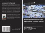 Producción de microplásticos y transferencia trófica de ftalatos