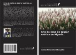 Cría de ca?a de azúcar exótica en Nigeria