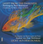 Light aus dem Dunkel / Light from the Darkness