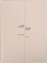 Ana Elvira Vélez: Between Spaces