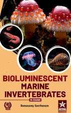 Bioluminescent Marine Invertebrates