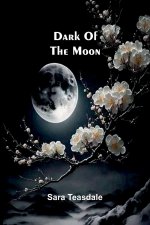 Dark Of The Moon