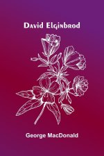 David Elginbrod