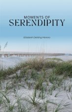 Moments of serendipity