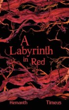 A Labyrinth in Red