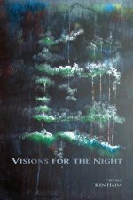 Visions for the Night