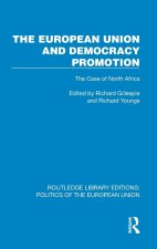 European Union and Democracy Promotion