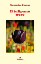 tulipano nero