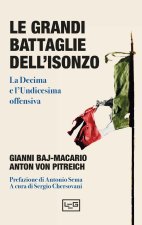 grandi battaglie dell'Isonzo