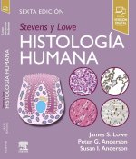 Stevens y Lowe. Histología humana
