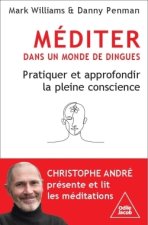 Du nouveau dans la méditation de pleine conscience