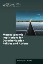 Macroeconomic Implications for Decarbonization Policies and Actions