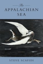 The Appalachian Sea