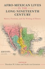 Afro-Mexican Lives in the Long Nineteenth Century