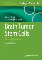 Brain Tumor Stem Cells