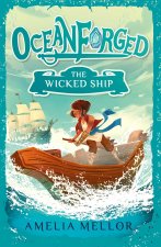 The Wicked Ship