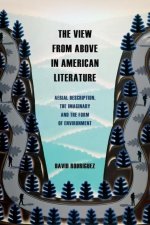 The View from Above in American Literature