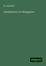 Lepidopteren von Madagascar