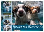 Tierisch gute Wasserspiele (Wandkalender 2026 DIN A4 quer), CALVENDO Monatskalender