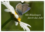 Mit Bläulingen durch das Jahr (Wandkalender 2026 DIN A4 quer), CALVENDO Monatskalender