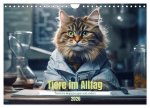Tiere im Alltag (Wandkalender 2026 DIN A4 quer), CALVENDO Monatskalender