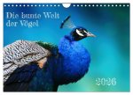 Die bunte Welt der Vögel (Wandkalender 2026 DIN A4 quer), CALVENDO Monatskalender