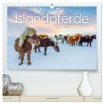 Islandpferde - Die süßen Pferde im Norden. (hochwertiger Premium Wandkalender 2026 DIN A2 quer), Kunstdruck in Hochglanz