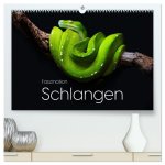 Faszination Schlangen (hochwertiger Premium Wandkalender 2026 DIN A2 quer), Kunstdruck in Hochglanz