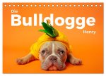 Die Bulldogge Henry (Tischkalender 2026 DIN A5 quer), CALVENDO Monatskalender