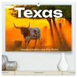 Texas - Howdy aus dem Lone Star State! (hochwertiger Premium Wandkalender 2026 DIN A2 quer), Kunstdruck in Hochglanz