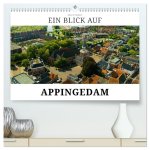 Ein Blick auf Appingedam (hochwertiger Premium Wandkalender 2026 DIN A2 quer), Kunstdruck in Hochglanz