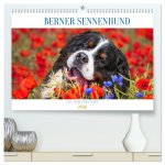 Berner Sennenhund - Eine Liebe für's Leben (hochwertiger Premium Wandkalender 2026 DIN A2 quer), Kunstdruck in Hochglanz