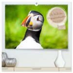 Die Welt der Papageientaucher - Islands Wildvögel (hochwertiger Premium Wandkalender 2026 DIN A2 quer), Kunstdruck in Hochglanz