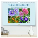 Geliebte Kletterkünstler (hochwertiger Premium Wandkalender 2026 DIN A2 quer), Kunstdruck in Hochglanz