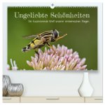 Ungeliebte Schönheiten - die faszinierende Welt unserer heimischen Fliegen (hochwertiger Premium Wandkalender 2026 DIN A2 quer), Kunstdruck in Hochgla